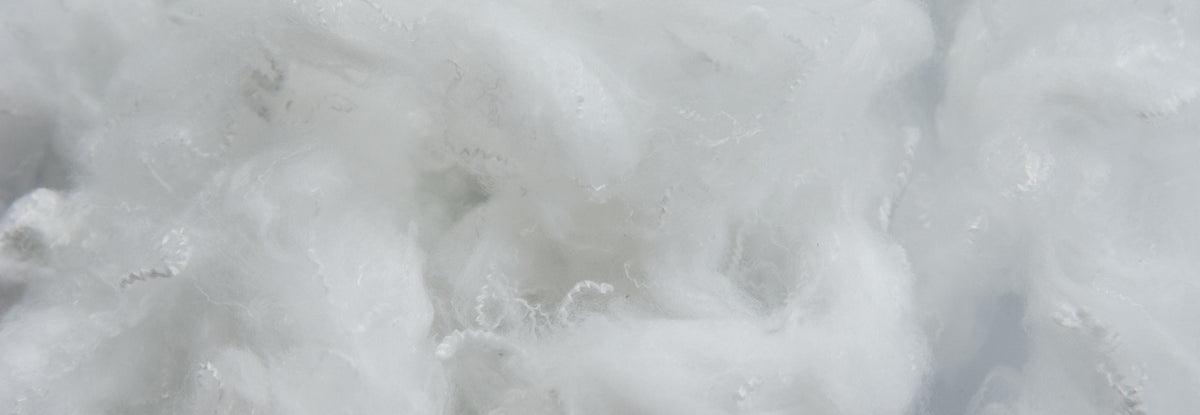 What's the Difference Between Kapok and PLA?