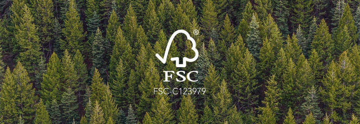 forest with FSC logo of tree and check mark overlaid