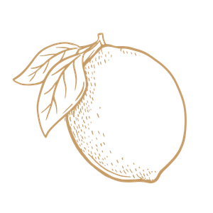 For the Host icon